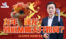 龙宝宝最新爆料视频,揭秘幕后真相，带你走进神秘世界